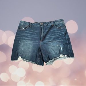 Terra & Sky Shorts